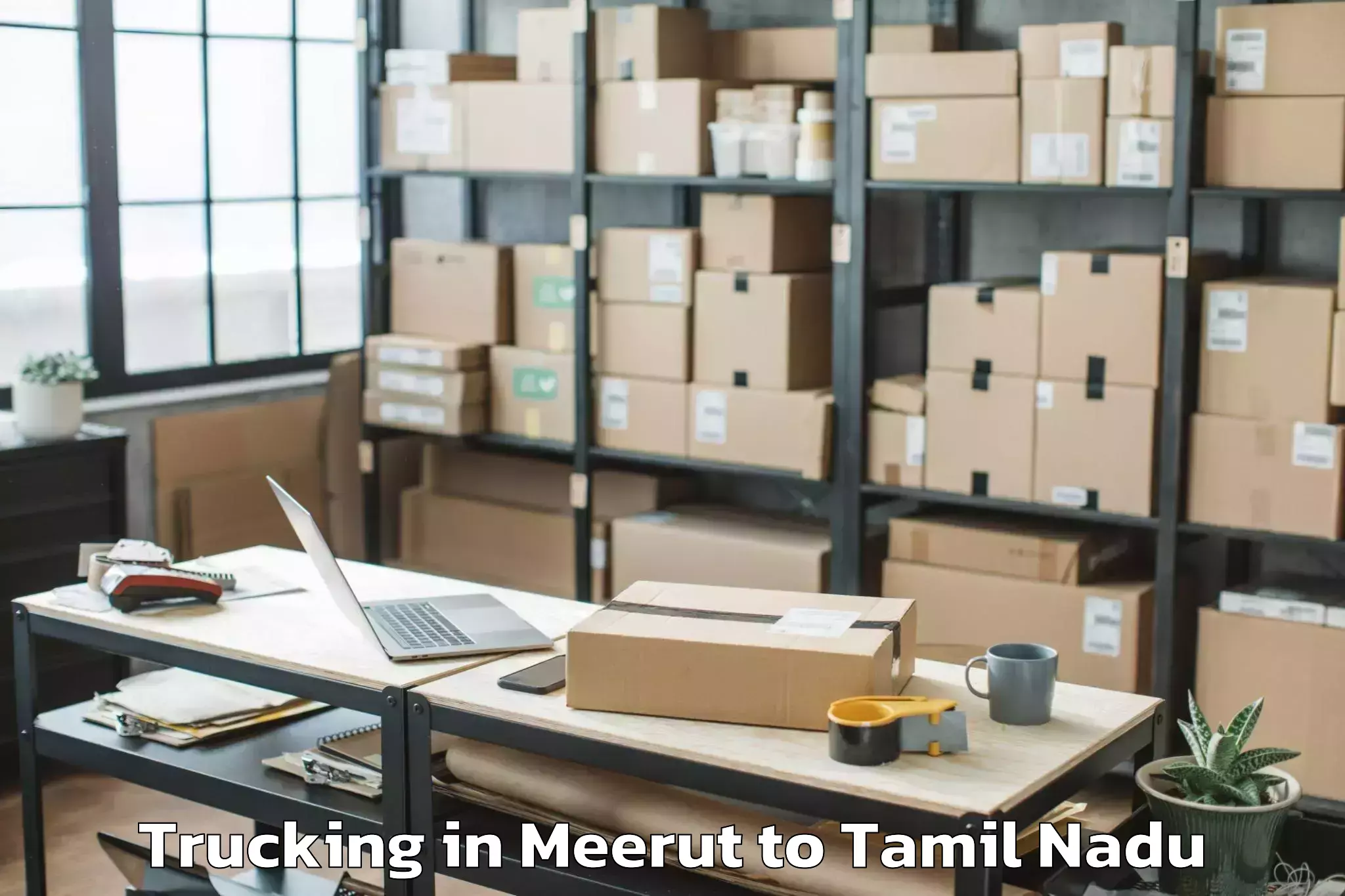 Get Meerut to Tamil Nadu Dr Mgrmedical Unive Trucking